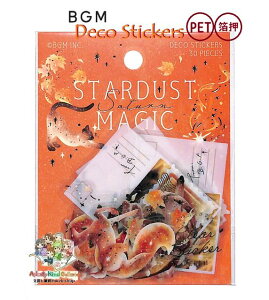 y BGM t[NV[ z STARDUST }WbN BS-PFG013 y PETf V[ 10fUC × e3 S30s[X r[W[G Saturn magic  ˂ y3cm[OKz