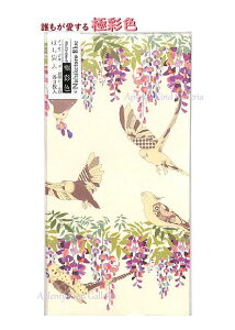 yNɍʐFz|`܁ij̉ԁ@KP-14232@3胁bZ[WJ[h V[t ViI/Nao Furusawa/ۂ g Ƃܑ Nʑ/D܂炸ɂg^Cv/