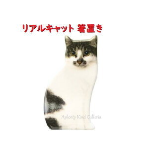 y L ObYzALbg u CA-86401@~bNX TCY: 30×53×14mm ˂ ͂ nVu ͂x H H 킢 G u 蓩 j[NG fRR[