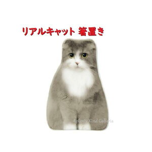 yL ObYzALbg u CA-86402@XReBbV TCY: 34×50×14mm  L ͂ nVu ͂x lR H H 킢 G u 蓩 j[NG 