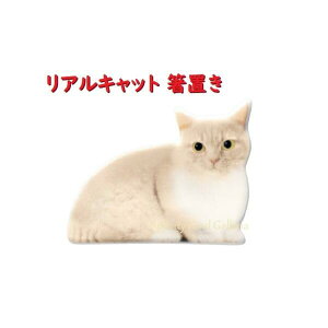 yL ObYzALbg u CA-86404@}`J TCY: 46×37×14mm  L ͂ nVu ͂x lR H H 킢 G u 蓩 j[NG fR