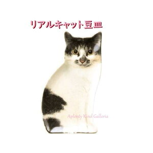 【猫ちゃん グッズ】リアルキャット 豆皿 CA-86406 ミックス サイズ: 約65×118×12mm ★ 猫ちゃん おさら まめざら ネコ 小さい サラ かわいい 雑貨 置物 飾り陶器 ユニーク雑貨 デコレコーポ/Decol