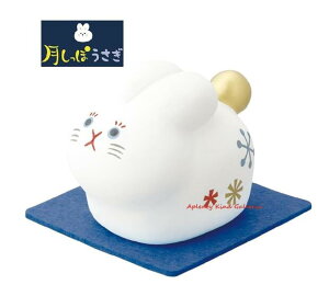 y   z   DK-47701  F K ̌ ETM : 5cmTCY concombre/ RRu 񂬂 K \ fĂ H̖ \ܖ | 肢 u  u