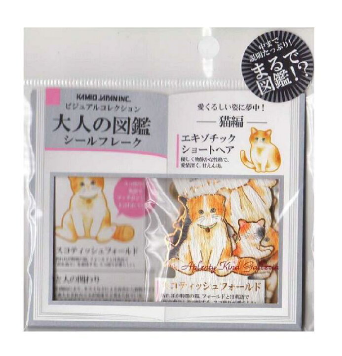 楽天市場 まるで図鑑 大人の図鑑フレークシール No 猫編 エキゾチックショートヘア ビジュアルコレクション 金箔加工シールフレーク 大シール 中シール 全30枚入 スコティッシュラグドールマンチカン三毛猫アメショ 3cmメール便ok Aplenty Kind