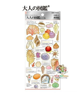 y l̐} z ƂȂ V[ NO.224586 LkƎX rWARNV HV[   TS L VF Shell AR p[ R[ coral  C̕