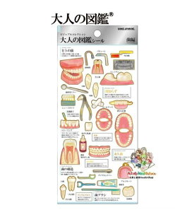 y l̐} z ƂȂ V[ NO.224587  rWARNV HV[  teeth uVꎕ f^tX \ oPAObY qg̎  񋸐 y3cm