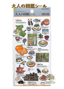 y l̐} z ƂȂ V[ NO.226007 a̎R WAKAYAMA rWARNV HV[ 킩 ݂ ߒq̑ F{{ p_ W }O j FÓ @