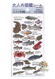 y OTONA no ZUKAN z l̐}ӃV[ NO.228113 WƒW rWARNV H }ӃV[ IITVEEI UKj TKj A IIi}Y y3cm[OKz