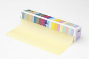 y Kamoi mt bv z JC/ }XLOe[v mt wrap JX^[h MTWRAP01 235mm a [ N[F custard fUCy[p[ bsO  Wrapping Paper y3cm[֕sz
