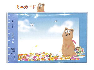 y Animal Card z  ~jJ[h A072 NIbJ t MINI J[h ~j  e3 Zbg hTCY ӂƂ ꌾ bZ[W ~j^[ 莆Zbg NEHbJ X  