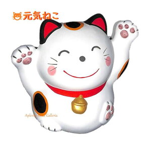 y N ObY z C ˂@TCY : 10cmTCY L 񂬂 N̗ǂ̂Ɉ͂܂ 苓 L lR  { afUC |  u   u 