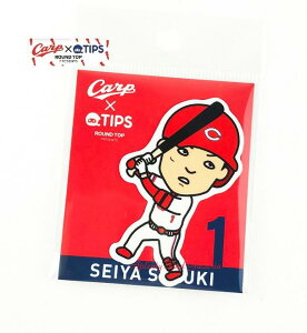 yCARPObYzLJ[v@CARP×TIPS@_CJbgXebJ[ ؐI@HC-SS-003 񂽂65mm×40mmTCY   wԍ 1 O Cg/L J[vfUC LJ[vOb