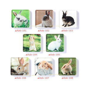 y Animal Magnet z Aj} }Olbg  yI: Rab-101.102.103.104.105.106.107.108ze ETM   ObY  bvC [ CIrbg CObVbv z[