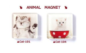 y ˂ ObY z Aj} }Olbg LyI: Cat-101 Cat-104 z˂ lR ɂ jR Lbg ObY  L qL 222 L̓ animal ɂ܂ qlR