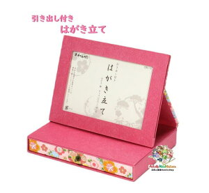 y [ ObYz ot ͂ CBC-13-001  ÓTԕl FT\ i Ђot   [ ʐ^ t Â ㏬ 莆 nKL͂  䕗