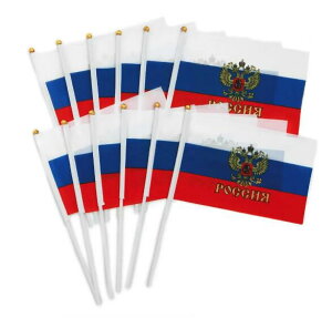 �y������10�{�Z�b�g�z ���V�A ���� ���͓���i�o���̘h�j40cm (20cm × 32cm) [���V�A��]