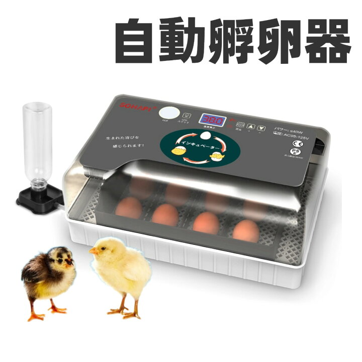楽天市場】【お買い物マラソン限定5%OFF】孵卵器 孵化器 鳥類 専用 