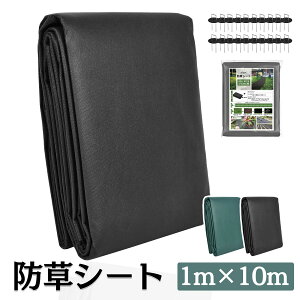 hV[g 1m×10m h Gh~V[g V[g h V[g K[fjO  c  G Gh~ G΍ G} Ȃ  h  ԏ 悯V[g  |  