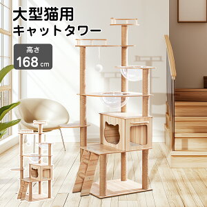 y|Cg10{zLbg^[ ˂ X FD ؐ RpNg ؓo Vv Lbgc[ ^L ^  L^[ FD NA{E