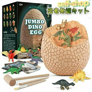 ߋ  @ Lbg @Lbg eBmTEX WCAg 勰 12 q v[g MtgWCAg Mtg ۈ牀 q { a