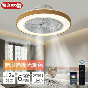 2025 V[Ot@Cg 12 t@tƖ LED V[Ot@ T[L[^[ V[OCg Rt 8 ʒ 铔 DC[^[ ȃGl Ɩ Cz