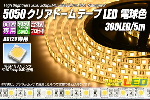 5050e[vLED 60LED/m NAh[ dF 5m