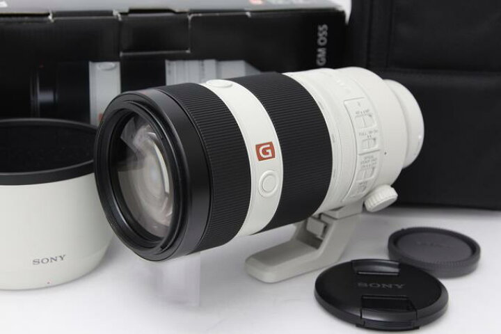 楽天市場】【中古】【極美品】 ソニー ミラーレスカメラ用 FE 100 