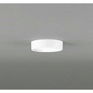 �I�[�f���b�N OL251780R ���^�V�[�����O���C�g �����F �񒲌� �l���Z���T�[ �_�� ���M�� 520lm �����FLED ���C�g