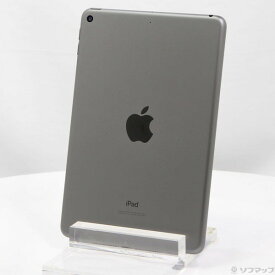 【中古】Apple(アップル) iPad mini 第5世代 256GB スペースグレイ MUU32J／A Wi-Fi 【349-ud】