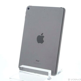 【中古】Apple(アップル) iPad mini 第5世代 256GB スペースグレイ MUU32J／A Wi-Fi 【381-ud】