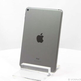 【中古】Apple(アップル) iPad mini 第5世代 256GB スペースグレイ MUU32J／A Wi-Fi 【251-ud】