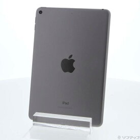 【中古】Apple(アップル) iPad mini 第5世代 256GB スペースグレイ MUU32J／A Wi-Fi 【377-ud】