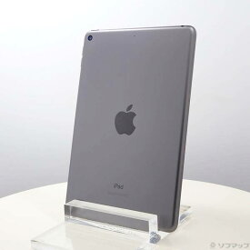 【中古】Apple(アップル) iPad mini 第5世代 256GB スペースグレイ MUU32J／A Wi-Fi 【384-ud】