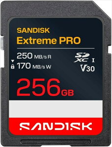 �T���f�B�X�N SanDisk SDXC�J�[�h UHS1(U3)Class10 256GB SDSDXXJ-256G-GSCIN�y�l�R�|�X�֔z������1�_�܂Łz