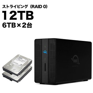 OWC GEMINI XgCsOf 12TB [OWCTB3GM000-S12T]