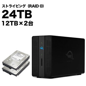 OWC GEMINI XgCsOf 24TB [OWCTB3GM000-S24T]