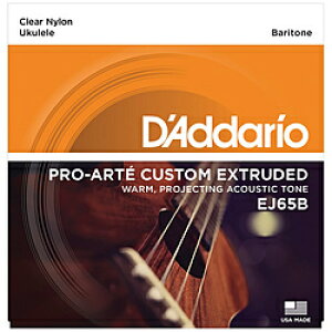 DADDARIO EN EJ65B EJ65B