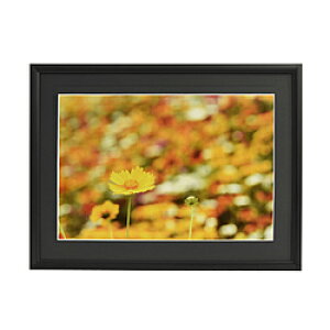 フジカラー アルミ額縁 A33 ワイド6切 ブラック 【864】