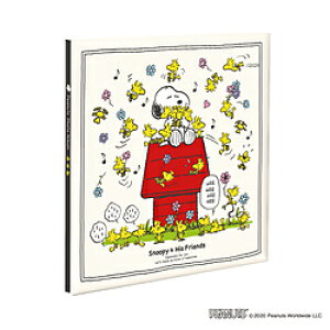 Nakabayashi vR[g t[䎆Ao LTCY Xk[s[N[ ALP148