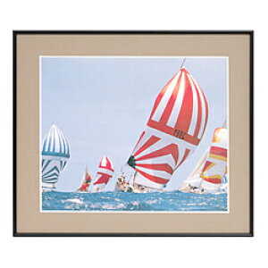 xmtC(FUJIFILM) tHgt[ A105A i4/Vo[j A105A