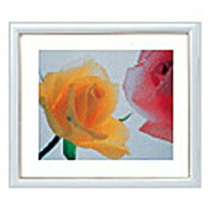 xmtC(FUJIFILM) A[gt[zCg iCh4؁j