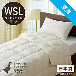 эH[ |HѕzcuтӂƂv PR310-B2 [ChVO(Z~_u)O(170×230cm) /ėp /|[hYzCgO[X_E95 ] PR310B2_WSL_NA yLZsz