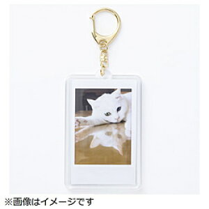 xmtC(FUJIFILM) `FLptHgL[z_[ S[h