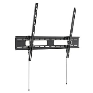 JAPANNEXT �e���r�Ǌ|������ �p�x���߉\ JN-WMT100-96-FC JNWMT10096FC