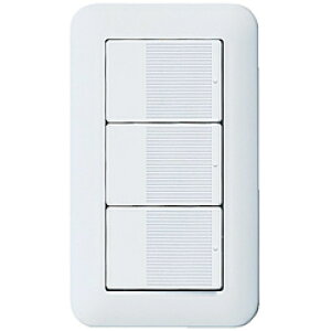 Panasonic(pi\jbN) RXCh21gvXCb`B WTP50013WP