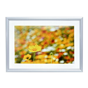 フジカラー アルミ額縁 A32 ワイド6切 シルバー