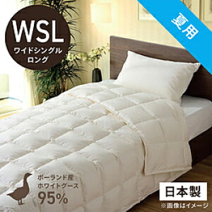 эH[ |HѕzcuтӂƂv PR410-B2 [ChVO(Z~_u)O(170×230cm) /ėp /|[hYzCgO[X_E95 ] PR410B2_WSL_NA yLZsz