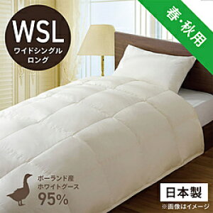 эH[ |HѕzcuтӂƂv PR310-A [ChVO(Z~_u)O(170×230cm) /tEHp /|[hYzCgO[X_E95 ] PR310A_WSL_NA yLZsz