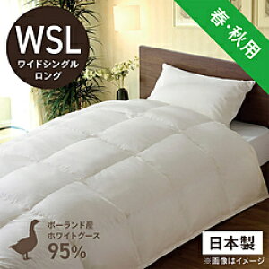 эH[ |HѕzcuтӂƂv PR410-A [ChVO(Z~_u)O(170×230cm) /tEHp /|[hYzCgO[X_E95 ] PR410A_WSL_NA yLZsz