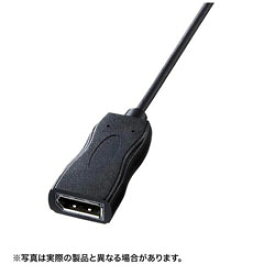 SANWA SUPPLY(サンワサプライ) 0.11m［USB-C → DisplayPort 4K］変換アダプタ　ブラック　AD-ALCDP01 ADALCDP01